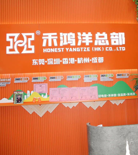 东莞市禾鸿洋电子科技有限公司